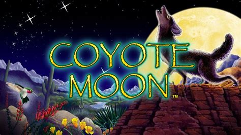 coyote moon casino,Mais